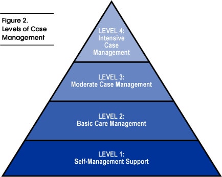 Fig 2: Levels of Case Management
