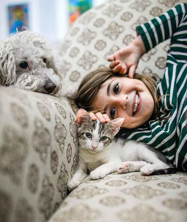 Young girl laying on couch with her dog and cat next to her head.