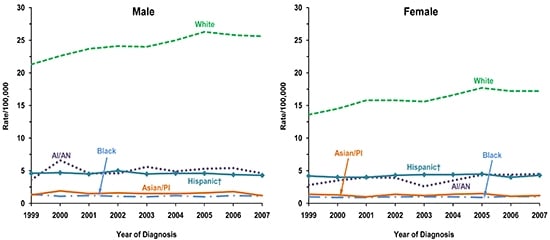 Line charts showing the changes in melanoma of the skin incidence rates for males and females of various races and ethnicities.