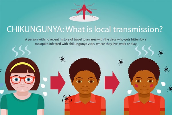 Infographic: CHIKUNGUNYA: What is local transmission?