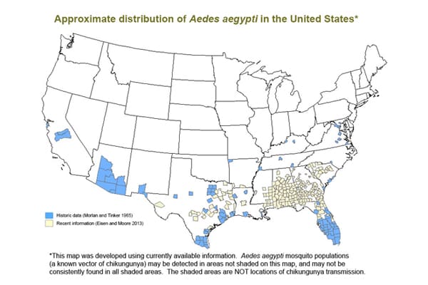 Map of the United States showing approximate distribution of Aedes aegypti in the U.S. Concentration is largely in the southeastern states.