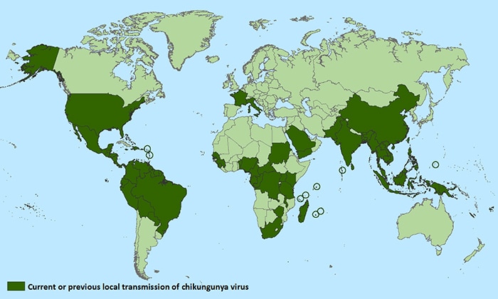 Image: Countries with current or previous local transmission of chikungunya virus, listed in below data table