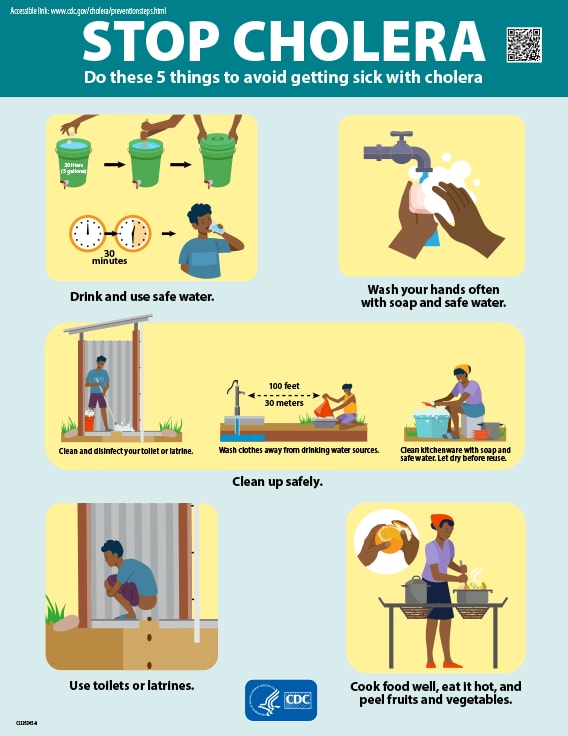 5 steps to prevent Cholera factsheet cover