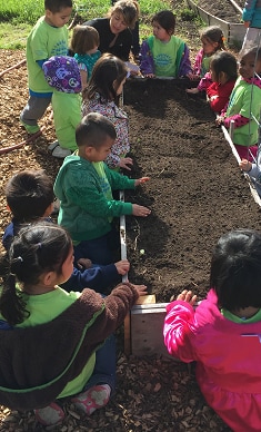 children by raised bed for planting