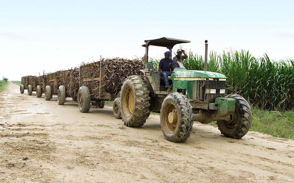 Tractor pulling sugarcane.