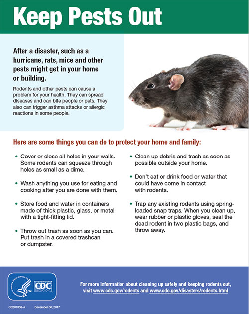 Cover graphic for CDC flyer titled Keep Pests Out shows a large rat