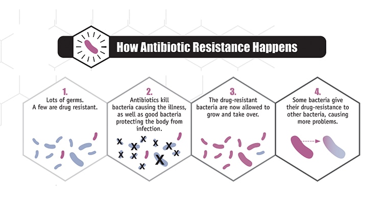 	How Antimicrobial Resistance happens image