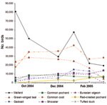 Thumbnail of Peak absenteeism observed with different times of initiating prophylaxis, according to point of detection in a base-case pandemic.