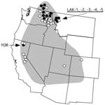 Thumbnail of Western United States showing the approximate endemic range of tickborne relapsing fever associated with Ornithodoros hermsi and the localities of origin for the 37 Borrelia hermsii isolates included in this study. Genome group I (GGI) isolates are shown by open circle; GGII isolates are shown by filled circle. Localities of 6 isolates discussed in detail are indicated with arrows.