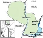Thumbnail of Misiones Province, Argentina, and eastern Paraguay, where cases of hantavirus pulmonary syndrome have occurred and rodents were trapped for testing.
