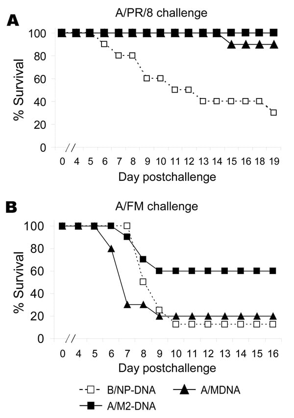 Results of matrix protein 2 (M2)–DNA vaccination, showing protection against divergent influenza viruses. Mice (8–10 per group) were vaccinated with DNA as described in Methods except at a dose of 100 μg/mouse. Approximately 2 weeks after the last dose of DNA, mice were challenged with 7× the 50% lethal dose (LD50) of virus and monitored for survival. A) A/PR/8 challenge: Cumulative survival rate of mice vaccinated with M-DNA or M2-DNA was significantly higher than that of mice vaccinated with B