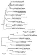 Thumbnail of Phylogenetic tree (neighbor-joining method) of hepatitis E virus (HEV) genotype 3 isolates for a 273-nt sequence within the open reading frame 2 gene (corresponding to nt 6078–6350 of the prototype swine genotype 3 pSHEV-3 AY 575859). Patient (EF050798) and pet pig (EF050797) sequences are in boldface and were compared with French isolates or known isolates from regions where HEV is not endemic. GenBank accession no. and country of origin are indicated. Reliability of the different phylogenetic grouping was evaluated by using a bootstrap test (1,000 replications); scores &gt;70% are indicated. Scale bar indicates no. of nucleotide substitutions per site. SP, Spain; FR, France; NL, the Netherlands; JP, Japan; USA, United States; UK, United Kingdom.