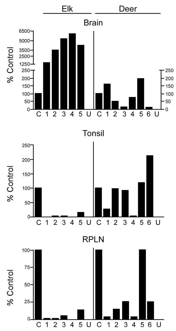 Quantification of disease-associated prion protein (PrPres) in brain, tonsil, and retropharyngeal lymph node (RPLN) from chronic wasting disease–affected elk and deer. The relative amount of PrPres in each lane of Figure 1 is shown relative to a common control described in the Figure 1 legend. A split scale is shown for elk brain because the PrPres signal from each elk brain was strong enough with 2-mg equivalents of tissue to obscure the protein patterns on the gel. Twenty-milligram equivalents were analyzed for all other tissues. The 10-fold difference in the amount of tissue equivalents loaded is accounted for by the split scale, where the result from 2-mg equivalents was multiplied by 10. Data shown are the average of 4 duplicate gels run for each sample. PrPres level in elk brain is significantly different from deer brain (p&lt;0.001), elk tonsil is significantly different from deer tonsil (p = 0.0274), and elk RPLN is significantly different from deer RPLN (p = 0.0087) (Mann-Whitney test). C, reference control; U, uninfected elk or deer.