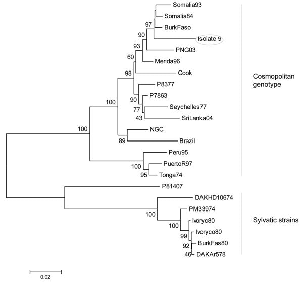 Figure 2&nbsp;-&nbsp;Neighbor-joining phylogenetic tree of dengue virus type 2 (DENV-2) based on the envelope gene sequence (1,485 bp). Isolate 9 from Ghana is circled. Bar represents nucleotide substitutions/site.