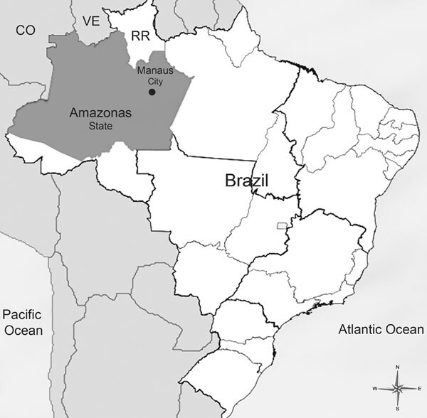 Location of Amazonas State and Manaus City, Brazil. CO, Colombia; VE, Venezuela; RR, State of Roraima.