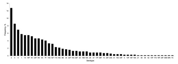 Distribution of pneumococcal invasive serotypes among 689 adults, Czech Republic, 1996–2003.