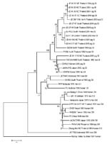 Thumbnail of Sequence phylogeny based on E (envelope) gene nucleotide sequence of Japanese encephalitis virus isolates from pigs and mosquito hosts in Thailand during 2003–2005, with reference to other Southeast Asian isolates. Phylogenetic analysis was performed by using nucleotide alignments, the Kimura 2-parameter algorithm (for the calculation of pairwise distances), and the neighbor-joining method (for tree reconstruction), as implemented in MEGA software (9). The tree was rooted within the Japanese encephalitis serogoup by using Murray Valley virus (GenBank accession nos. E1–51). The robustness of branching patterns was tested by 1,000 bootstrap pseudoreplications. Each strain is abbreviated, followed by the country of origin (and the region of origin in Thailand, e.g., NE = northeast) and year of isolation. Bootstrap values are indicated above the major branch; 33 taxa comprised the ingroup, and all taxa were rooted with Murray Valley virus. A unique gap was treated as a "fifth base." The character state optimization was chosen as accelerated transformation. Consistence index 0.572; retention index 0.7528.