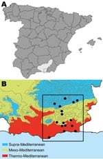 Thumbnail of A) Location of the Alpujarras in southeastern Spain (37º00’–37º20’N and 3º00’–3º30’W). B) Bioclimatic levels (shading) and villages (black dots) where serum samples were collected from dogs to examine for leishmaniasis prevalence and sandflies were collected to estimate densities, April–June 2006. Of 1,675 sandflies captured, 269 were identified by morphologic appearance as Phlebotomus perniciosus (density 0–165 specimens/m2) and 22 as P. ariasi (0 and 11 specimens/m2).