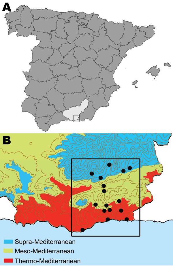 A) Location of the Alpujarras in southeastern Spain (37º00’–37º20’N and 3º00’–3º30’W). B) Bioclimatic levels (shading) and villages (black dots) where serum samples were collected from dogs to examine for leishmaniasis prevalence and sandflies were collected to estimate densities, April–June 2006. Of 1,675 sandflies captured, 269 were identified by morphologic appearance as Phlebotomus perniciosus (density 0–165 specimens/m2) and 22 as P. ariasi (0 and 11 specimens/m2).