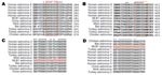 Thumbnail of Astrovirus open reading frame (ORF) 1b alignments for design of pan-astrovirus primers. Astrovirus RNA polymerase sequences (ORF1b) were aligned at the amino acid level to define the conserved regions used for the design of primers SF0073 (A) and SF0076 (B). The numbers to the right of the sequences indicate the position of the last amino acid within each ORF1b sequence. Red boxes represent the specific regions that were reverse translated into the corresponding nucleic acid sequenc