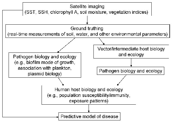 Components of a predictive model of infectious disease based on satellite imaging to assess environmental change. SST, sea surface temperature; SSH, sea surface height.