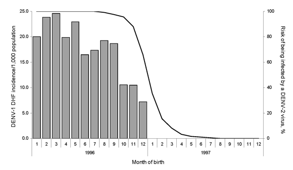 Dengue virus 1 (DENV-1) dengue hemorrhagic fever (DHF) incidence rates among children born in 1996–1997, according to their month of birth (gray bars). The theoretical risk of being infected with DENV-2 from August 1996 through June 1997 is also shown (line). 