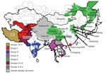 Thumbnail of Origin (country and/or region) of isolates of foot-and-mouth disease virus serotype Asia 1 that were responsible for outbreaks in Asia during 2003–2007. The 6 different groups and their localities are indicated by different colors. AR, Autonomous Region; SAR, Special Administrative Region.