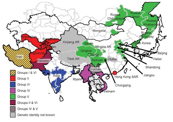 Origin (country and/or region) of isolates of foot-and-mouth disease virus serotype Asia 1 that were responsible for outbreaks in Asia during 2003–2007. The 6 different groups and their localities are indicated by different colors. AR, Autonomous Region; SAR, Special Administrative Region.