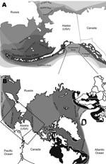 Thumbnail of Distribution of Arctic and sub-Arctic pinnipeds in relation to Arctic ice coverage representing a unique area where distribution ranges of multiple seal species overlap (7,8). A) North Pacific Ocean region showing the range of the northern sea otter (Enhydra lutris kenyoni) in Alaska, its population stock delineations, and sample collection locations for the study. 1, Kachemak Bay; 2, Kodiak Archipelago; 3, South Alaska Peninsula; 4, Fox Island; seal species ranges overlap. This ove
