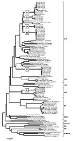 Thumbnail of Midpoint-rooted neighbor-joining tree (based on the complete virus protein [VP] 1 coding sequence) showing the relationships between the foot-and-mouth disease virus serotype O isolates from Ethiopia and other contemporary and reference viruses. The 3 isolates from 2005 forming a new topotype East African (EA)-4 are boxed. The year in parenthesis indicates the year of sample collection. Scale bar indicates substitutions per site. *Not a reference number assigned by the World Referen
