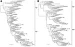 Thumbnail of Phylogenetic relationships of the hemagluttinin (HA) (A) and neuraminidase (NA) (B) genes of 33 Cambodian strains and of representative influenza A viruses (H5N1). Trees were generated by Bayesian analysis using MrBayes v3.1 software (2). Numbers above and below branches indicate Bayesian posterior probability and maximum likelihood bootstrap values (PHYML v2.4 software, www.atgc-montpellier.fr/phyml), respectively. Analysis was based on nucleotides 28–1578 of the HA gene and 67 to