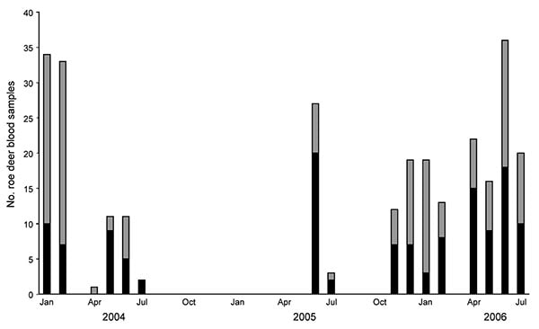 Number of Anaplasma phagocytophilum–infected (black bars) and uninfected (gray bars) animals encountered among Kielder Forest District roe deer sampled during January 2004–July 2006.