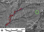 Thumbnail of Distribution of rodent trapping stations along a hiking trail in Santa Fe County, New Mexico, USA. Each red circle indicates a single trapping site that had 3 traps. Trap stations (not shown) also were placed throughout the patients’ yard (green circle).