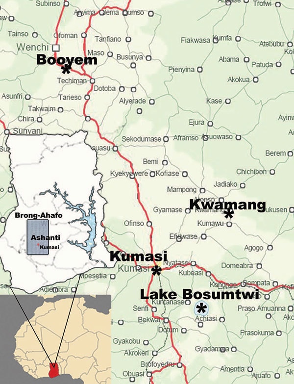 Location of Kwamang caves near the village of Kwamang, (6°58′N, 1°16′W), 50 km northeast of Kumasi, Ashanti region, Ghana. Booyem caves A (7°43′24.9′′N, 1°59′16.5′W) and B (7°43′25.7′′N, 1°59′33.5′′W) are located near remote small settlements in the vicinity of Booyem, Brong-Ahafo region. Lake Bosumtwi is located 30 km southeast of Kumasi (6°32′22.3′′N, 1°24′41.5′′W). The botanical gardens of Kwame Nkrumah National University of Science and Technology are located on campus in the city of Kumasi