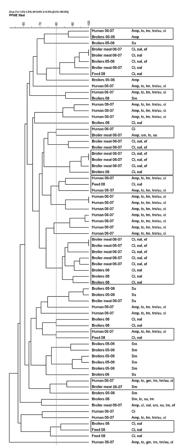 Dendrogram based on unweighted pair group method with arithmetic averages cluster analysis of pulsed-field gel electrophoresis (PFGE) patterns of the 20 broiler (2008), 7 feed (2008), and 34 human ciprofloxacin-resistant Escherichia coli isolates along with 29 of the most closely related broiler (2005–2006) and broiler meat (2006–2007) isolates from an earlier study (1), Iceland. Boxes indicate clusters (isolates with &gt;80% similarity by Dice coefficient similarity analysis) of isolates of dif