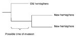 Thumbnail of Possible period of invasion from the old hemisphere to the new hemisphere shown in a schematic tree with 2 isolates from the new and 1 from the old hemisphere.