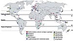 Thumbnail of Worldwide isolations of Cryptococcus gattii from human clinical, veterinary, and environmental sources. Circles indicate serotype information, diamonds indicate genotype information, and rectangles indicate hybrids between C. gattii and C. neoformans. Existing reports and survey are patchy, and several areas between positive regions share tree species (Table 2) and climatic conditions and would most likely harbor the pathogen. Thus, C. gattii is likely to be more widely distributed