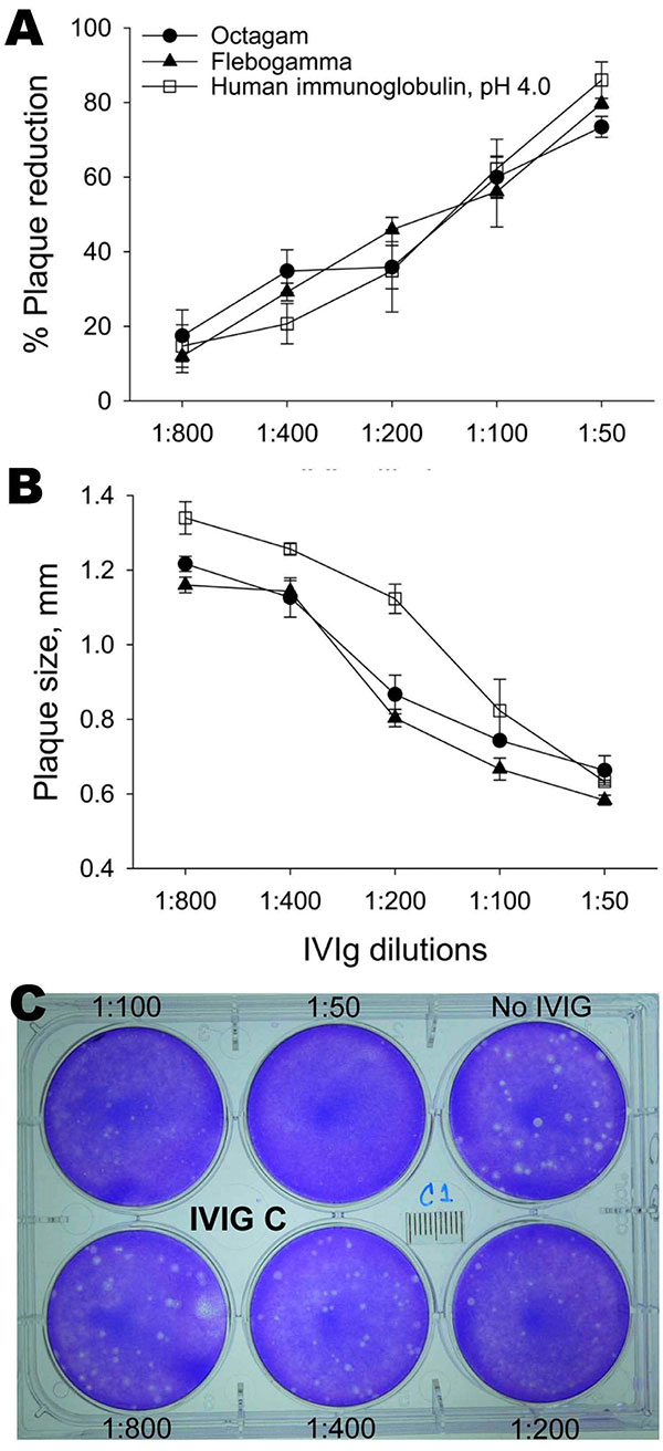 Neutralization of avian influenza virus A (H5N1) by intravenous immunoglobulin (IVIg) preparations measured by percentage reduction in plaque number (A) and plaque size (B). Monolayers of MDCK cells were infected with virus and overlaid with agar containing various concentrations of IVIg. After 2 days, plaques were detected by staining with crystal violet. Shown is a sample of viral plaques with agar overlay containing different dilutions (1:50–1:800) of Human Immunoglobulin, pH 4.0, (Harbin Seq