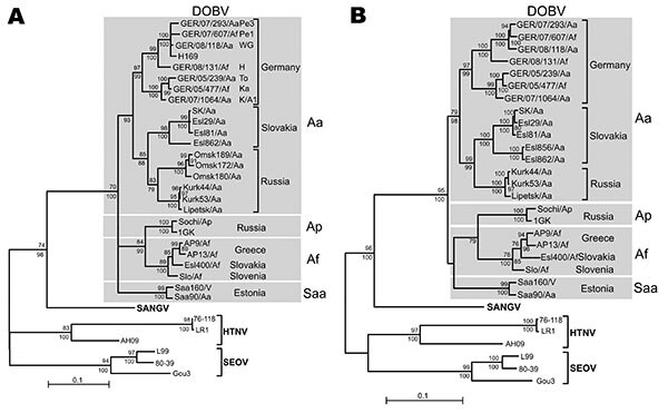 Maximum-likelihood (ML) phylogenetic trees of Dobrava-Belgrade virus (DOBV) based on partial small (S) segment nucleotide sequences of 559 nt (position 377–935) (A) and complete nucleocapsid protein coding nucleotide sequences (S segment open reading frame) (B). The ML trees (Tamura-Nei evolutionary model) were calculated using TREE-PUZZLE package (www.tree-puzzle.de). Scale bars indicate an evolutionary distance of 0.1 substitutions per position in the sequence. Values above the branches repres