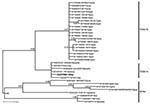 Thumbnail of Bayesian phylogenetic tree of Toscana virus (TOSV) and Sandfly fever Naples virus (SFNV) strains. For each sequence used, GenBank accession number, strain designation, and strain origin are shown. Phylognetic analysis was performed by using MrBayes 3.0 program (4) with a general time reversible substitution model. Substitution rates were assumed to follow a gamma plus invariants distribution. Three heated chains and a single cold chain were used in all Markov Chain Monte Carlo analy
