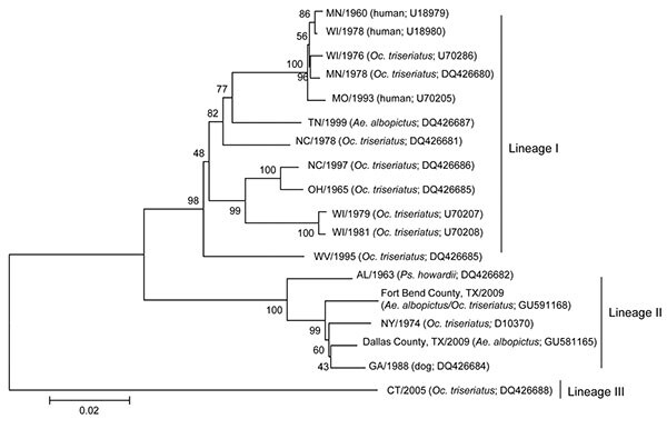 Phylogeny of La Crosse virus (LACV) medium (M) segment sequences of diverse origins. According to a limited availability of full-length sequences in GenBank, 1,663 nt of the M segment glycoprotein gene open-reading frame are compared. Isolate source and GenBank accession nos. appear after the isolate designation for each taxon. Sequences were aligned by ClustalW (10) and neighbor-joining and maximum-parsimony trees were generated by using 2,000 bootstrap replicates with MEGA version 4 software (