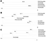Thumbnail of Phylogenic relationship of PDV/USA2006 to viruses from the 1988 and 2002 epizootics in Europe based on hemagglutinin (H) and phosphoprotein (P) gene sequences. A) Phocine distemper virus (PDV) H gene sequences used for the alignments were from PDV/DK2002 (lung), GenBank accession no. FJ648456; PDV/DK88 (isolated in Vero cells), GenBank accession no. Z36979; PDV/Ulster88n (isolated in Vero cells), PDV/NL88n (blood), GenBank accession no. D10371 (minus described changes in this study)