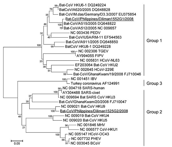 Phylogenetic tree based on deduced amino acid sequences of partial RNA-dependent RNA polymerase of coronaviruses (CoVs), the Philippines. The 2 new viruses detected in this study are underlined. Percentage of replicate trees in which the associated taxa clustered in the bootstrap test (1,000 replicates) is shown next to the branches. The tree is drawn to scale, with branch lengths in the same units as those of the evolutionary distances used to infer the phylogenetic tree. Evolutionary distances