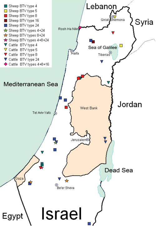Bluetongue virus (BTV) serotypes identified in Israel, 2008–2009.