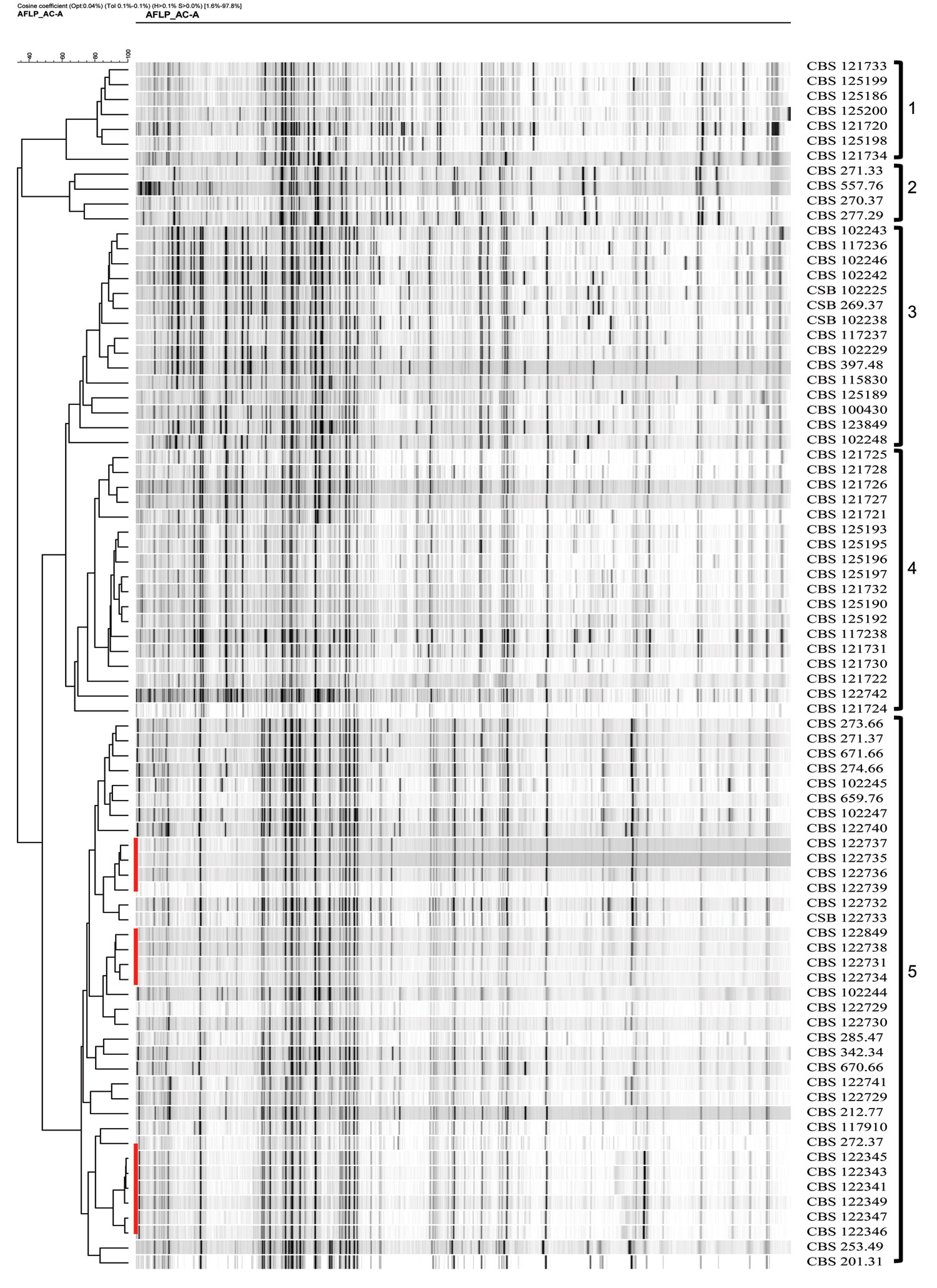 Clustering of amplified fragment-length polymorphism banding pattern of isolates of Fonsecaea spp. analyzed by using unweighted pair group method with arithmetic means. Red bars indicate clonal dispersal. Clusters 1 and 2 are F. nubica, clusters 3 and 4 are F. monophora, and cluster 5 is F. pedrosoi.