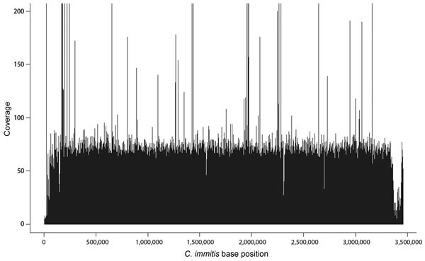 Example coverage plot of sequenced genome of Coccidioides immitis. Plot shows base coverage (y-axis) of supercontig 6 from isolate from patient Z, who had coccidioidomycosis. Average depth of coverage for this supercontig was 48.63× over 3,385,806 bases (x-axis) for a total of 164,650,400 bases sequenced.