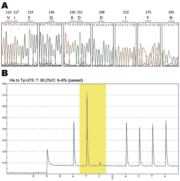 DNA sequence electropherograms for neuraminidase (NA) gene sequences. A) Analysis of molecular markers (V116, I117, E119, Q136, K150, D151, D198, I223, H275, and N295) for oseltamivir and/or zanamivir resistance among the pandemic (H1N1) 2009 virus isolates. The oseltamivir resistance–conferring mutation CAC (histidine) to TAC (tyrosine) at position 275 was detected in the InDRE797 sample. B) Detection of the H275Y mutation in the NA of the viruses by single-nucleotide polymorphism analysis at N