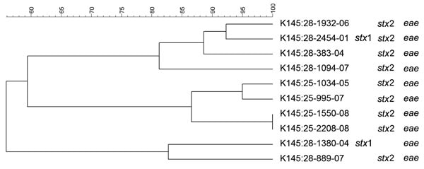 Dendrogram of Shiga toxin–producing Escherichia coli O145 strains isolated from human patients, Switzerland, 2000–2009. stx, Shiga toxin gene; eae, intimin gene. Scale bar indicates degree of similarity (%).
