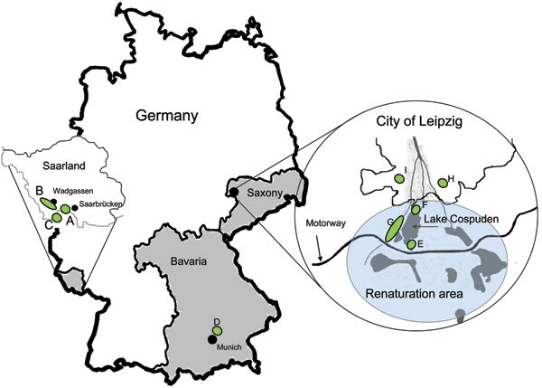 Tick sampling sites in Germany during 2008 and 2009 (green shading): Saarland, sites A–C, along the border with France (sampled March–September 2008). Bavaria, site D (sampled April and September 2009). Saxony, sites E–G, in Lake Cospuden renatured brown coal surface-mining area (blue shading); site H, renatured waste disposal site (sampled April and September/October 2009); and site I, game park (sampled in April 2009). Federal states of Saarland, Bavaria, and Saxony are shaded in gray.