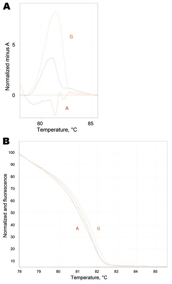 Real-time PCR high-resolution melting assay. A) High-resolution melt profiles are shown for wild-type (WT) Mycoplasma pneumoniae A (A2063A), macrolide resistance mutation G (A2063G) sample, and the mixed genotype sample in the normalized graph mode. B) Temperature-shifted difference graph demonstrates the deviations between WT, resistant, and mixed samples. The WT isolate has been selected to normalize the temperature shift graph and displays the deviation of samples from it.
